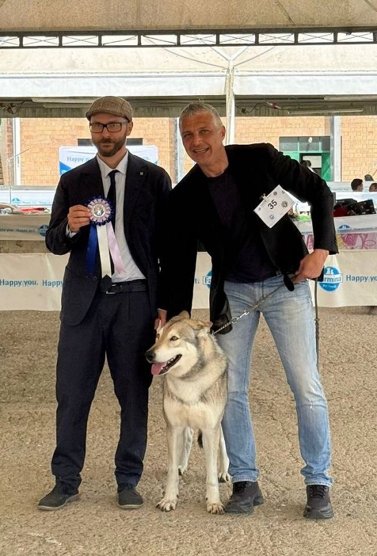 CAC Siena 2026