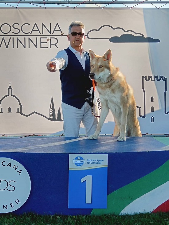 CACIB Pistoia 2025