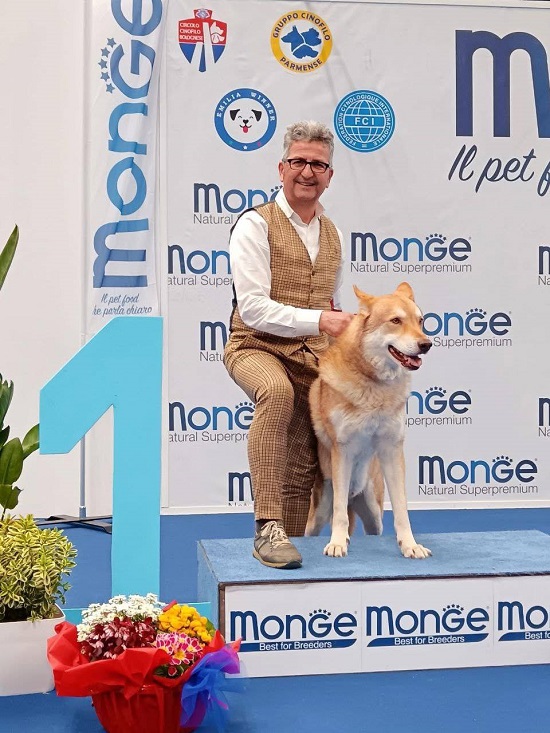 IDS Bologna 2025