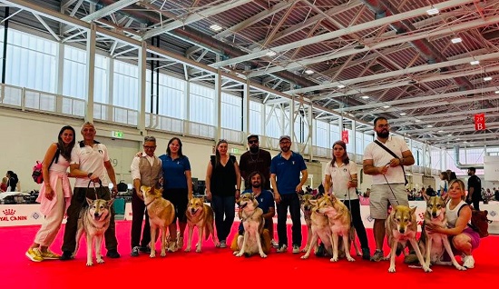FOS-team a Bologna 2026