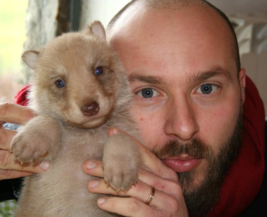 saarloos wolfhond puppy