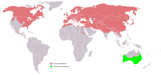 distribuzione nel mondo